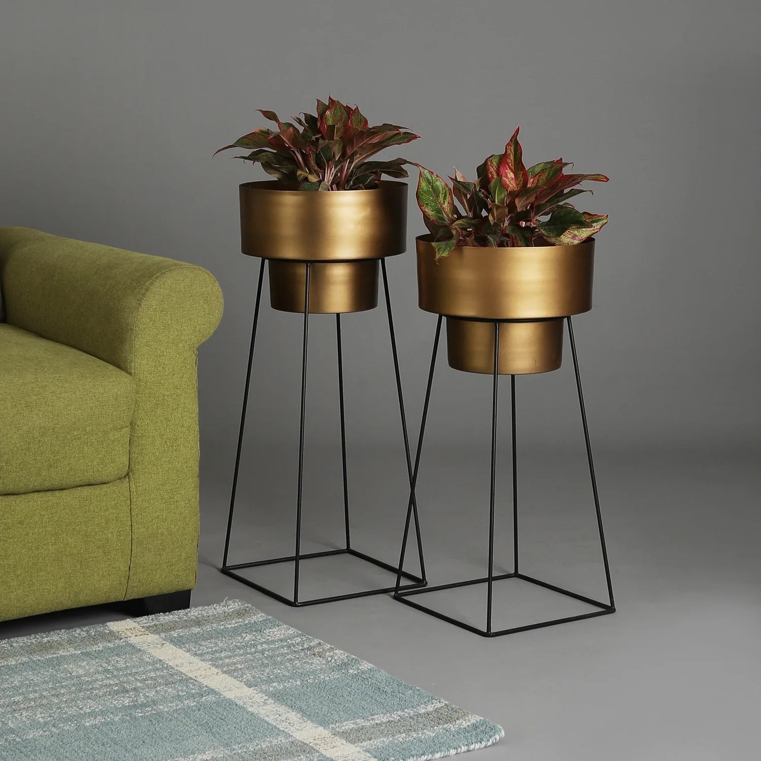 Stylish Planter Set