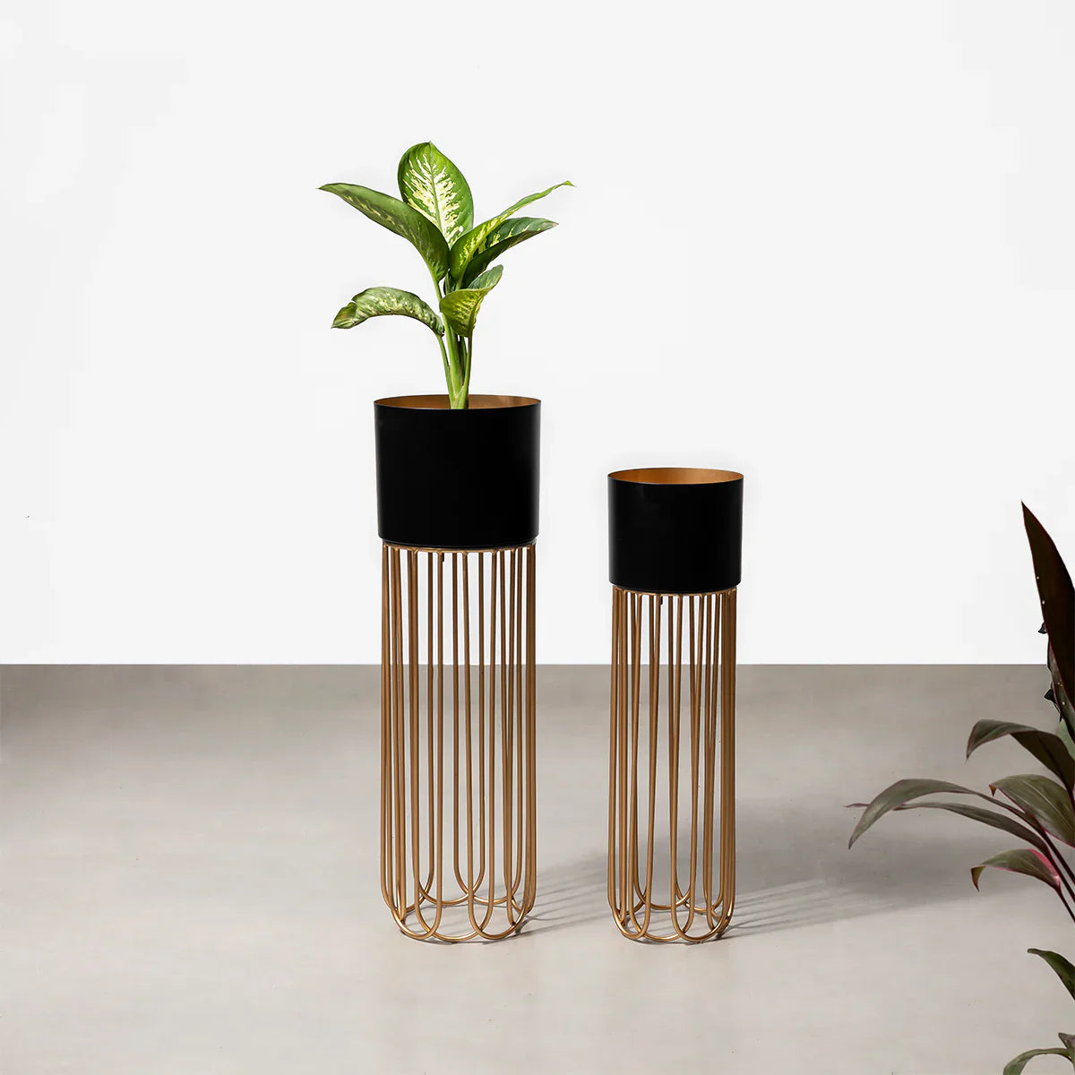 Minimal Black Metal Planter (Set of 2)