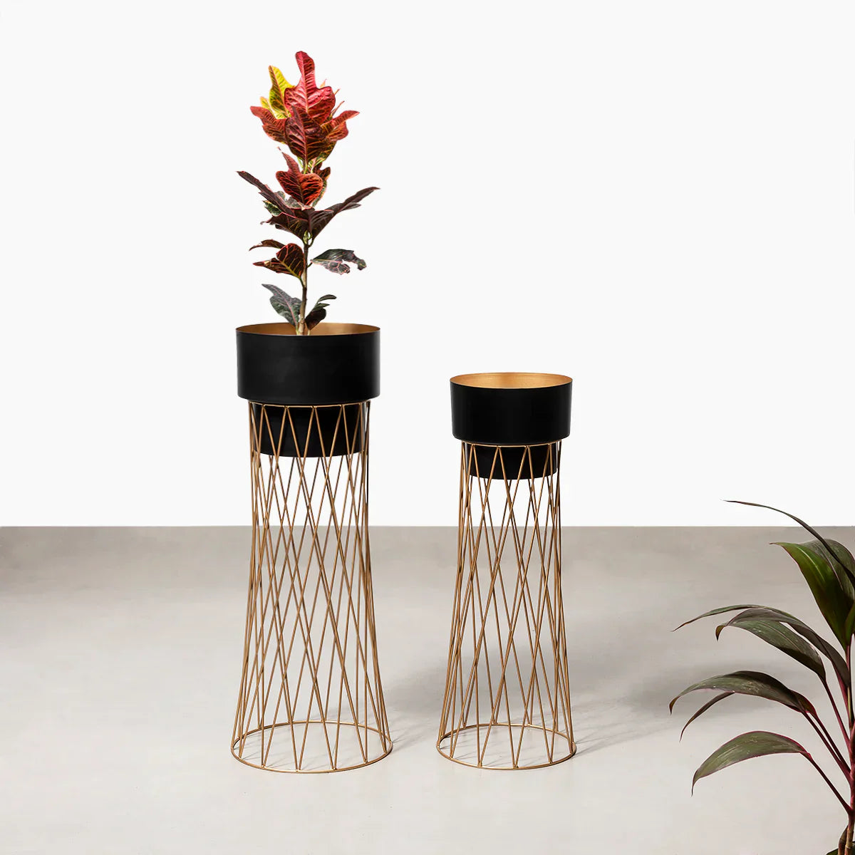 Cyra Black Indoor planter (Set of 2)