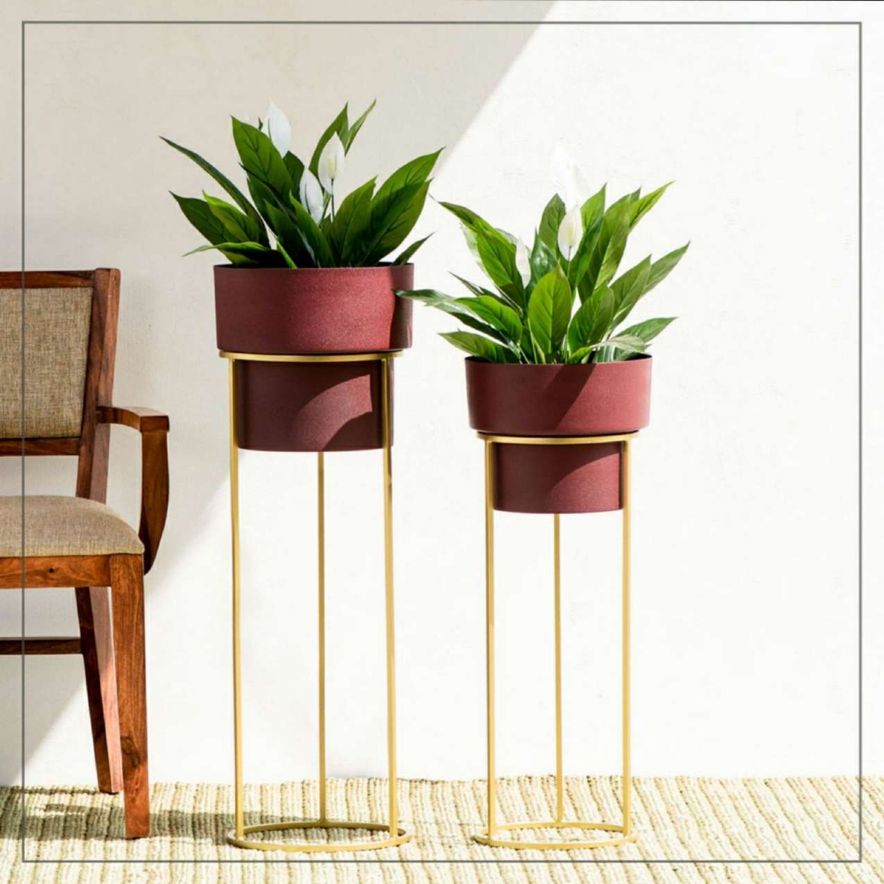 Florence Planter Set