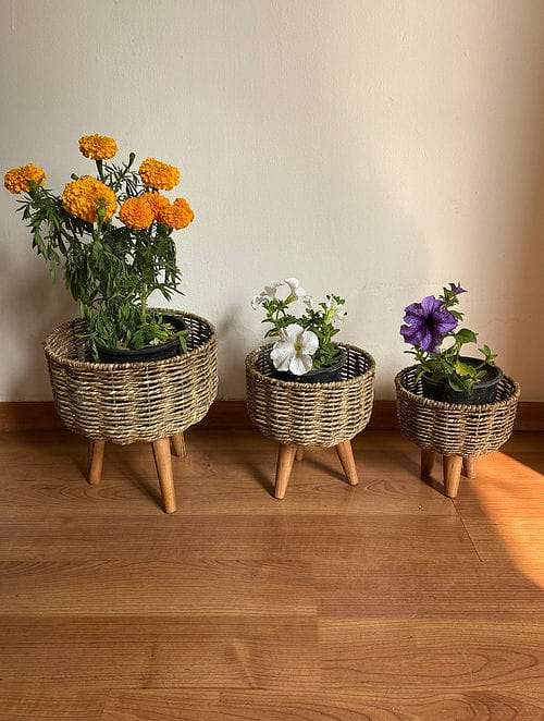 Bamboo Planters (Set of 3)