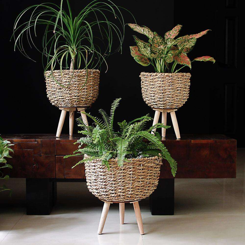 Bamboo Planters (Set of 3)