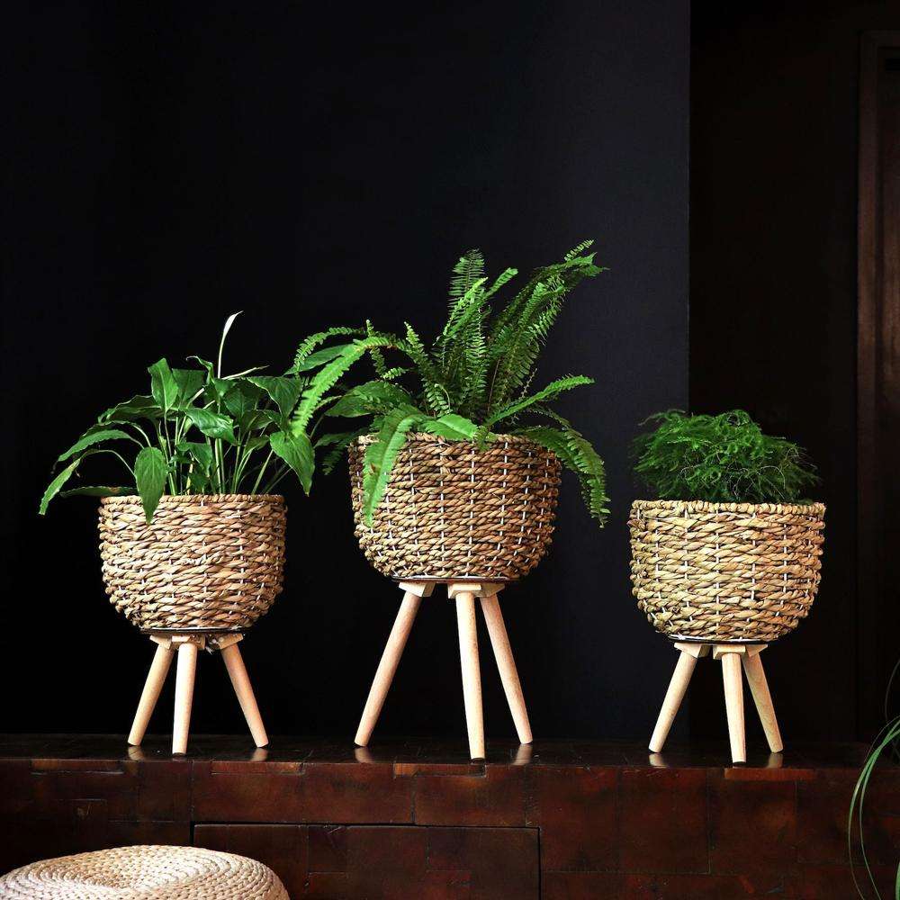 Bamboo Planters (Set of 3)