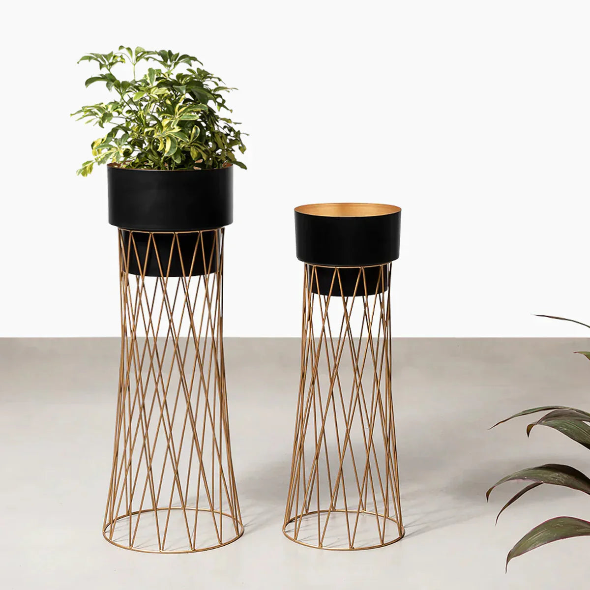 Cyra Black Indoor planter (Set of 2)