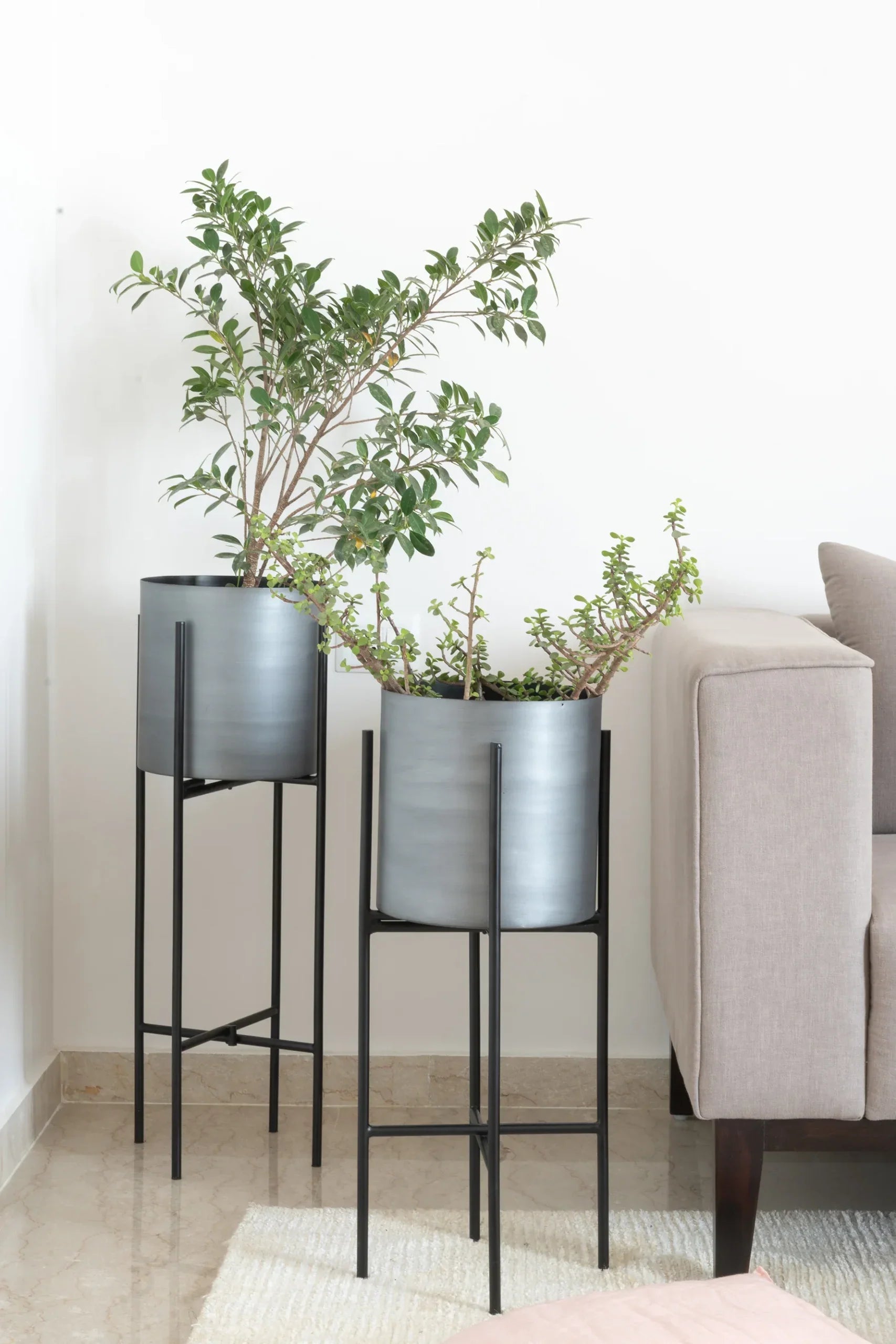 Elegant Indoor Planters Set of 2