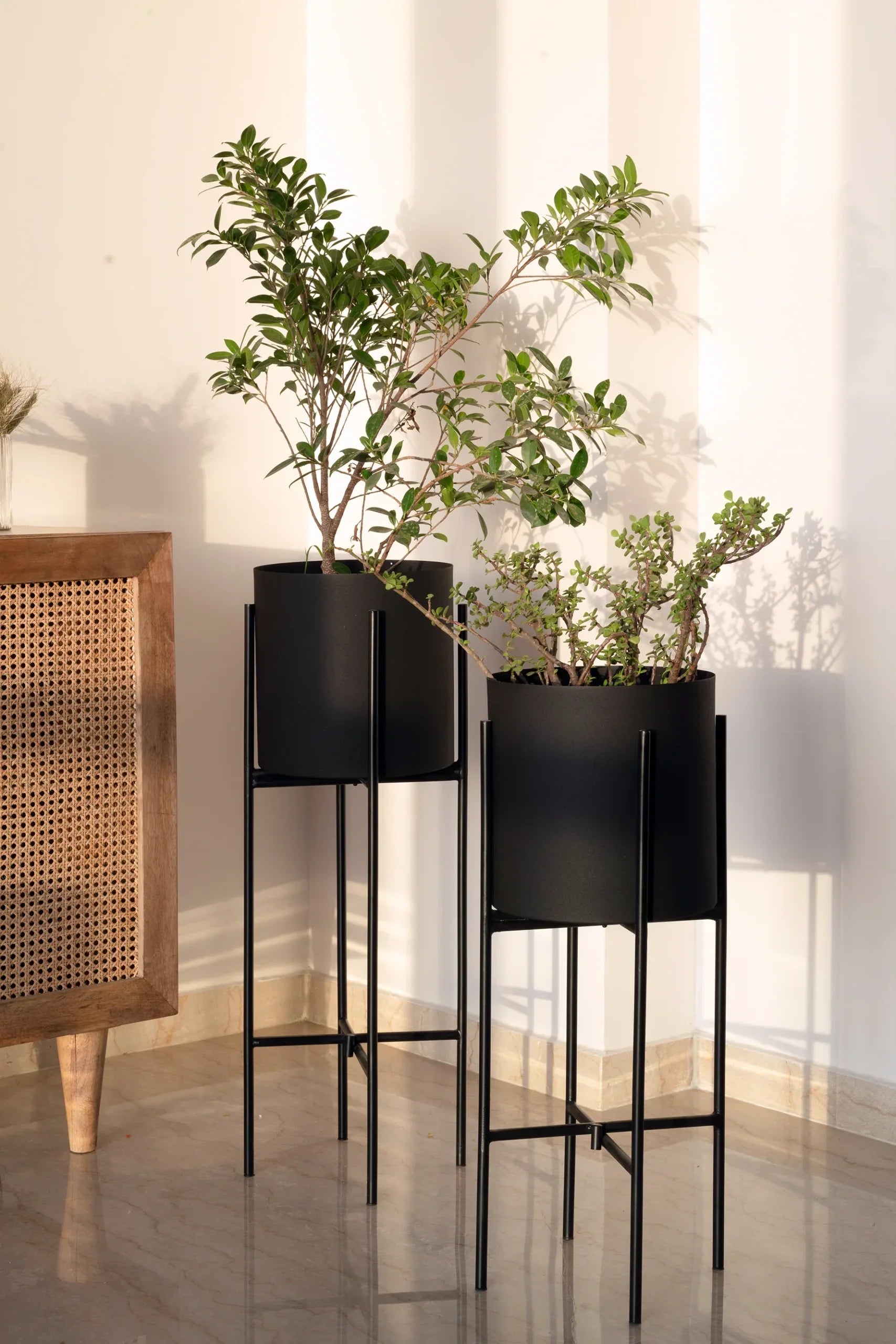 Black Dust Floor Indoor Planters Set of 2