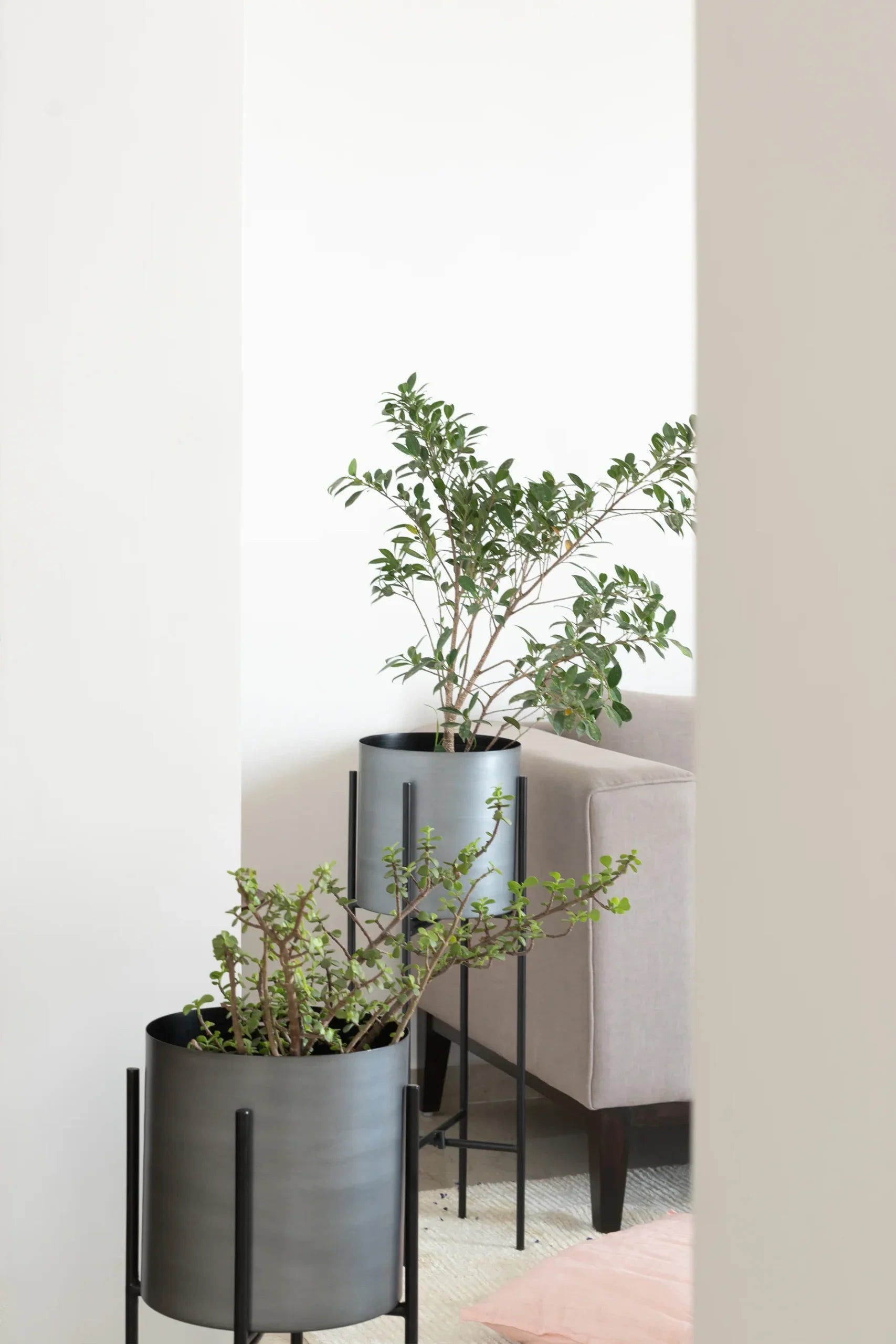 Elegant Indoor Planters Set of 2